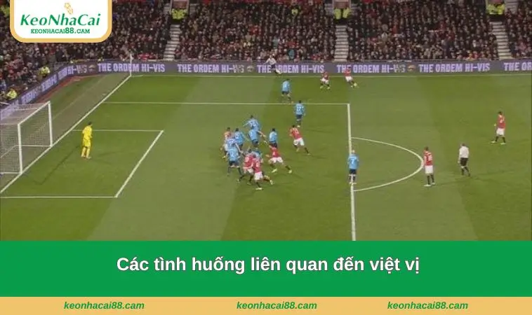 cac tinh huong lien quan den viet vi Các tình huống liên quan