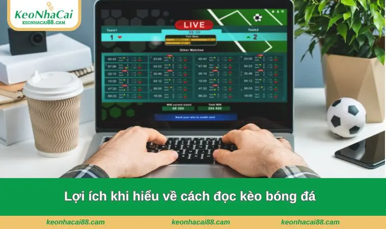 cach doc keo bong da 2 Lợi ích khi hiểu về cách đọc kèo bóng đá