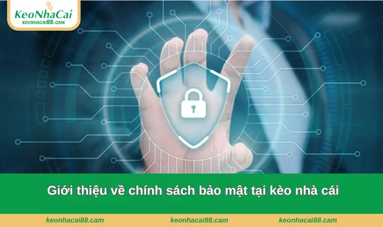 chinh sach bao mat 2 Giới thiệu về chính sách bảo mật tại kèo nhà cái