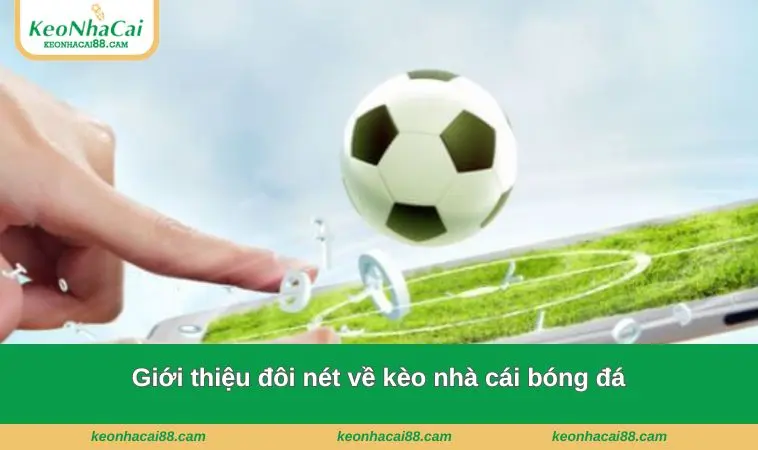 gioi thieu 2 Giới thiệu đôi nét về kèo nhà cái bóng đá