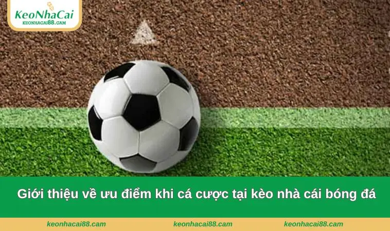 gioi thieu 3 Giới thiệu về ưu điểm khi cá cược tại kèo nhà cái bóng đá