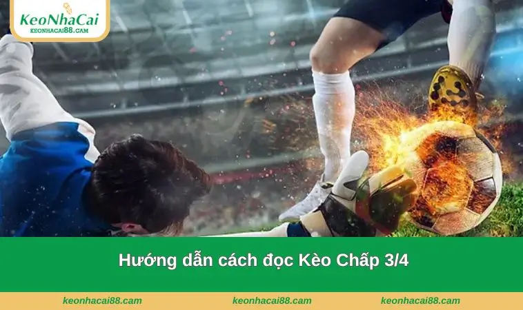 huong dan cach doc keo 3 4 Hướng dẫn đọc kèo này