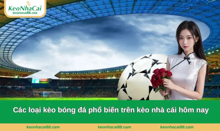 keo nha cai 3 Các loại kèo bóng đá phổ biến trên kèo nhà cái hôm nay