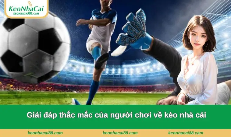 keo nha cai 9 Giải đáp thắc mắc của người chơi về kèo nhà cái