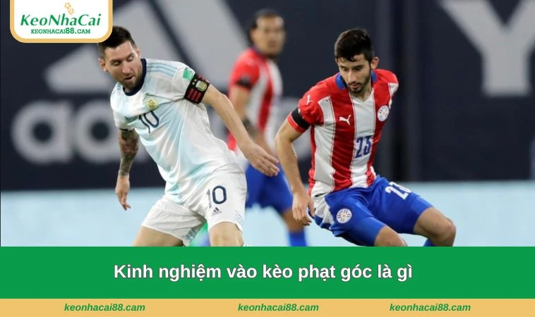 keo phat goc la gi 3 Sử dụng nguồn tiền hợp lý giúp nhận về lợi nhuận khủng & hạn chế rủi ro