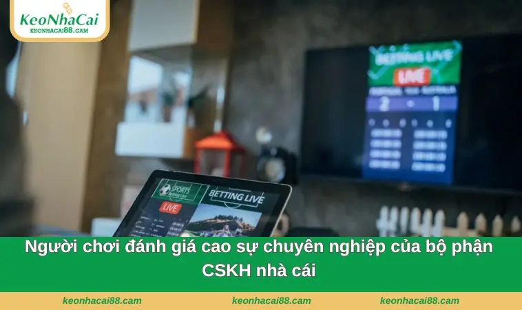 Người chơi đánh giá cao sự chuyên nghiệp của bộ phận CSKH nhà cái
