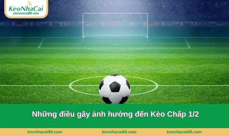 nhung dieu gay anh huong den keo chap 1 2 Những điều gây ảnh hưởng đến loại kèo này