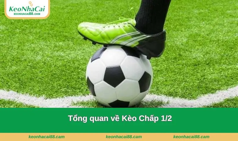 tong quan ve keo chap 1 2 Tổng quan về loại hình này