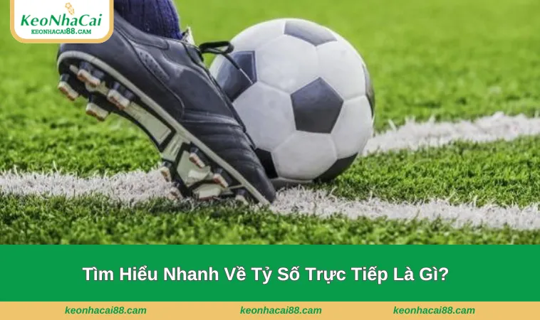 ty so truc tiep 1 Giới thiệu nhanh về tỷ số trực tiếp