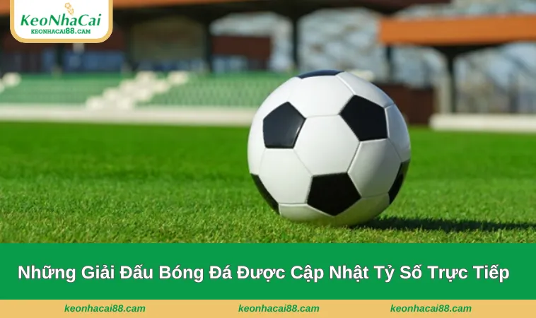 ty so truc tiep 2 Điểm danh những giải đấu được cập nhật trực tiếp