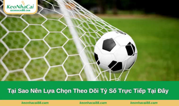 ty so truc tiep 3 Lý do nên lựa chọn theo dõi tại Kèo Nhà Cái