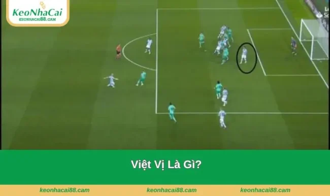 viet vi la gi